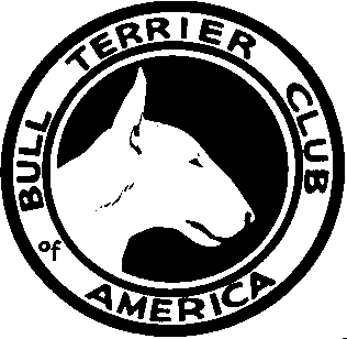Old Forge Bull Terriers