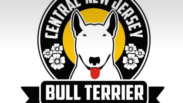 Central NJ Bull Terrier Club