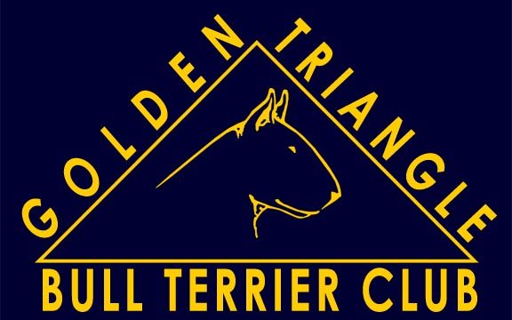 GTBTC_blue_gold_web_logo