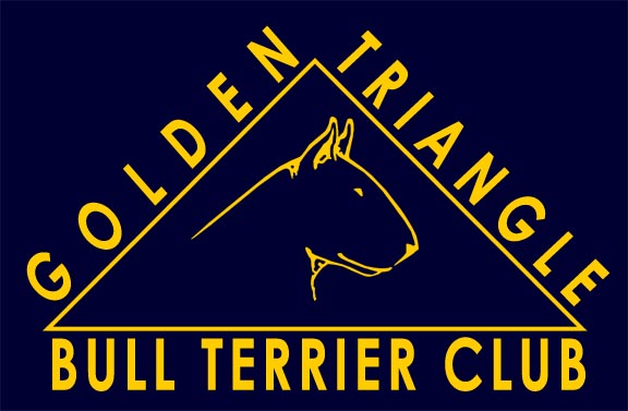 GTBTC_blue_gold_web_logo