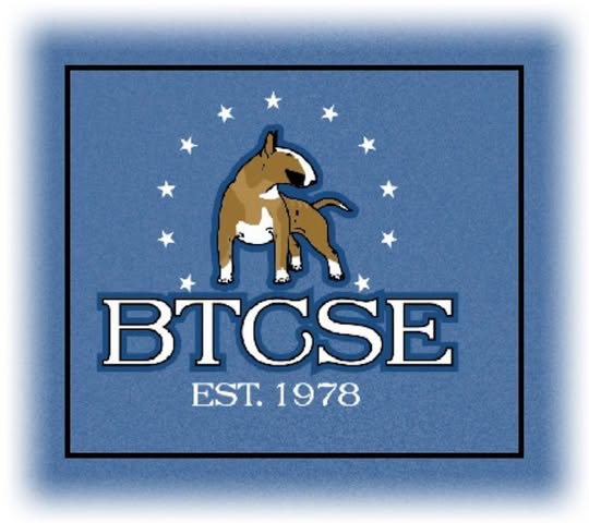 btcse logo