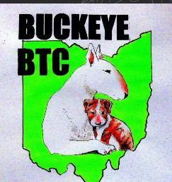 buckeye btc logo