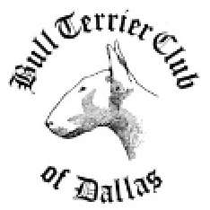dallas logo