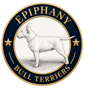 epiphany logo 2