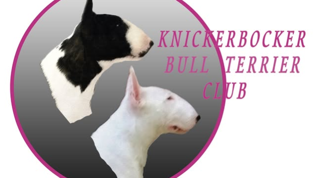 knickerbocker btc logo