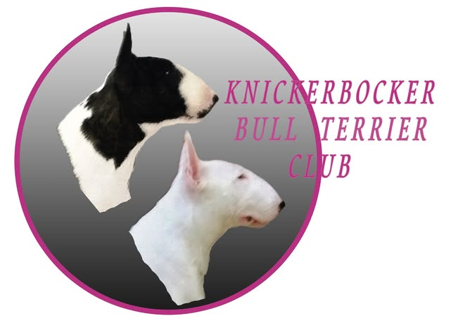 knickerbocker btc logo