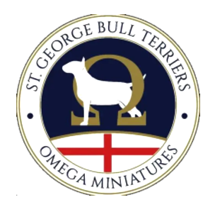 stgeorge logo
